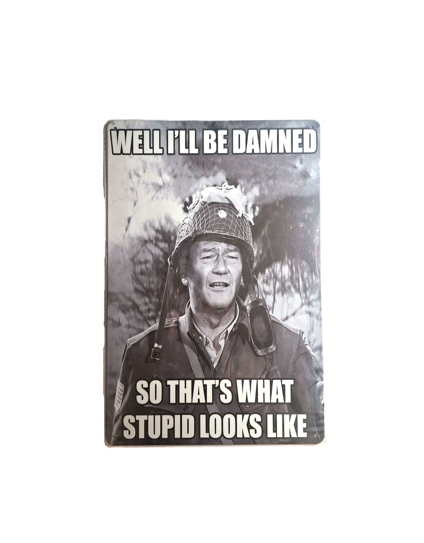 20*30 Plåtskylt- Stupid looks