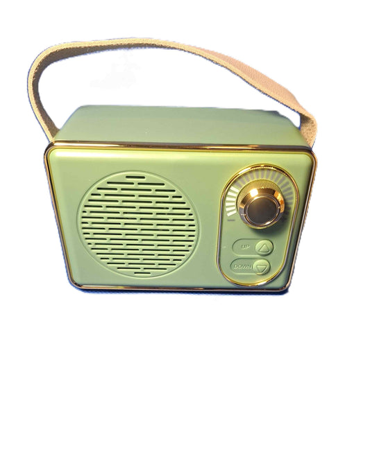 Högtalare- Retroradio, grön