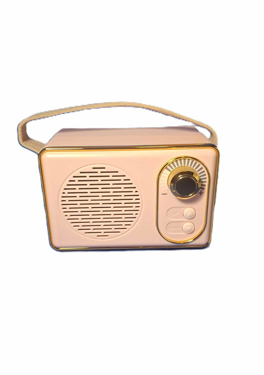 Högtalare- Retroradio, Rosa